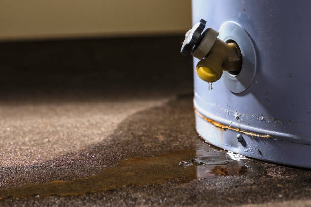 Best Ceiling water damage repair  in Livingston, MT
