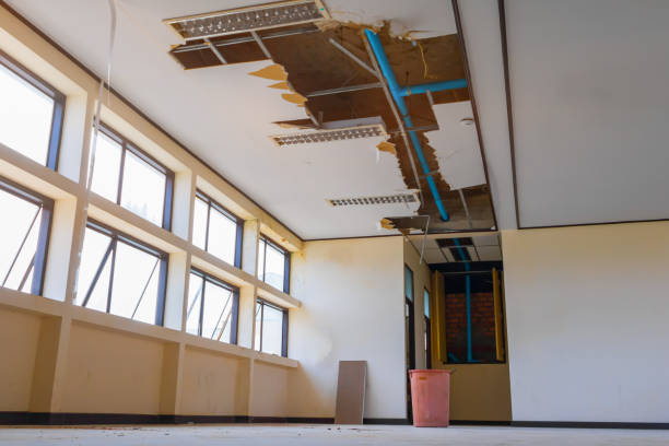 Best Carpet water damage restoration  in Livingston, MT