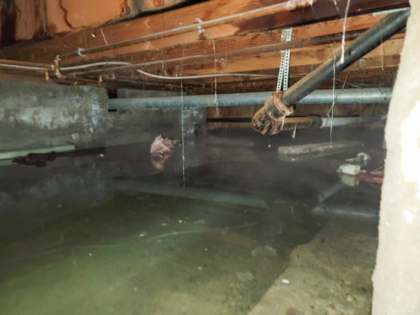 Best Commercial water damage restoration  in Livingston, MT