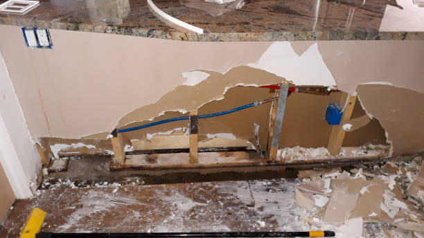 Best Mold removal after water damage  in Livingston, MT
