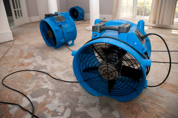 Best Fire Damage Restoration  in Livingston, MT