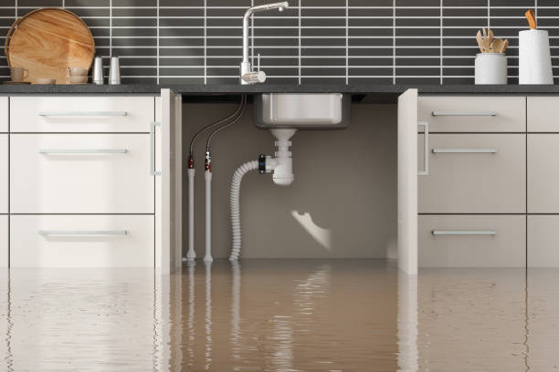 Best Water damage restoration near me  in Livingston, MT